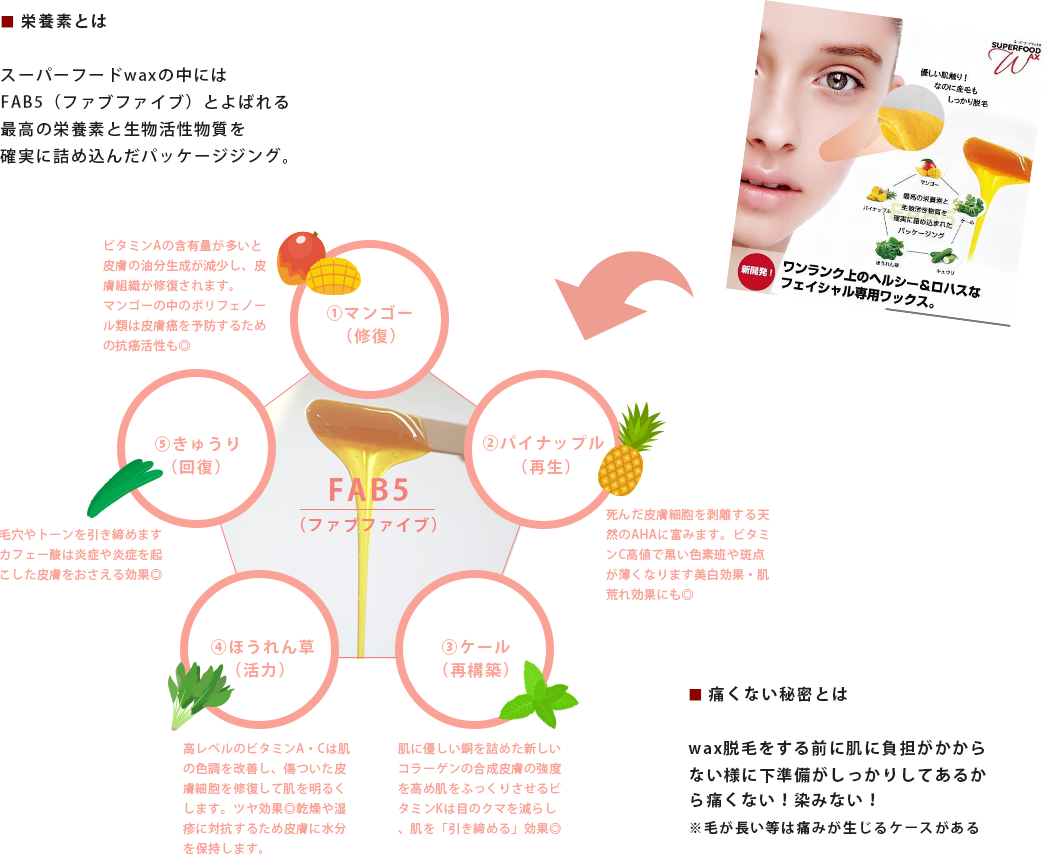 栄養素とは／痛くない秘密とは